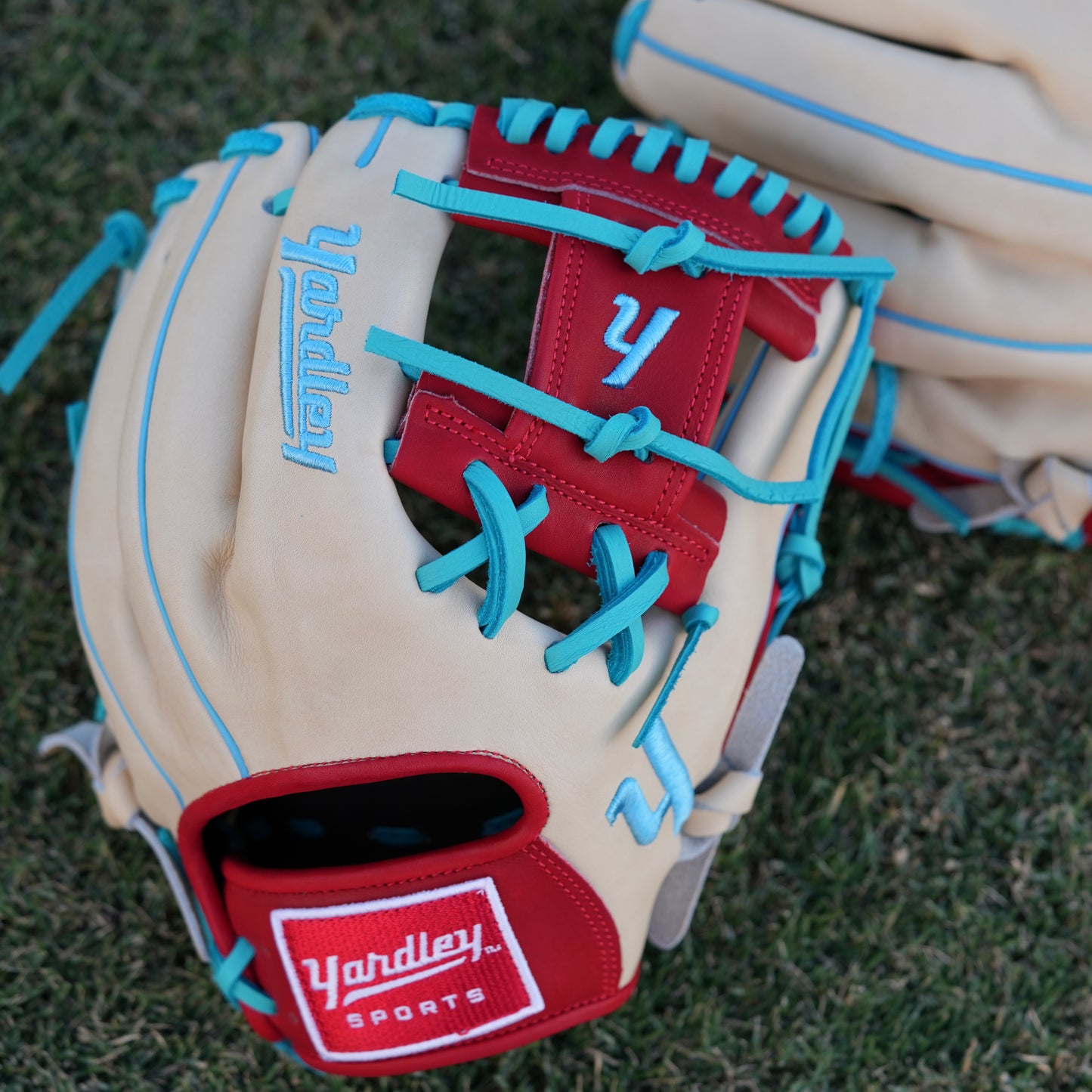 Y2 - 279 Model Bone and Red I-Web 11.50"