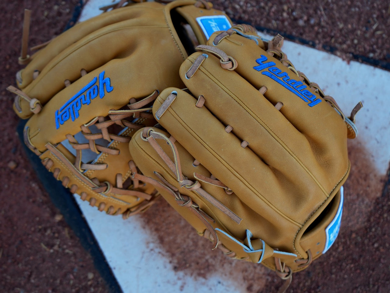 Y2 Maven Steer - 279 Tan and Blue 12.00"