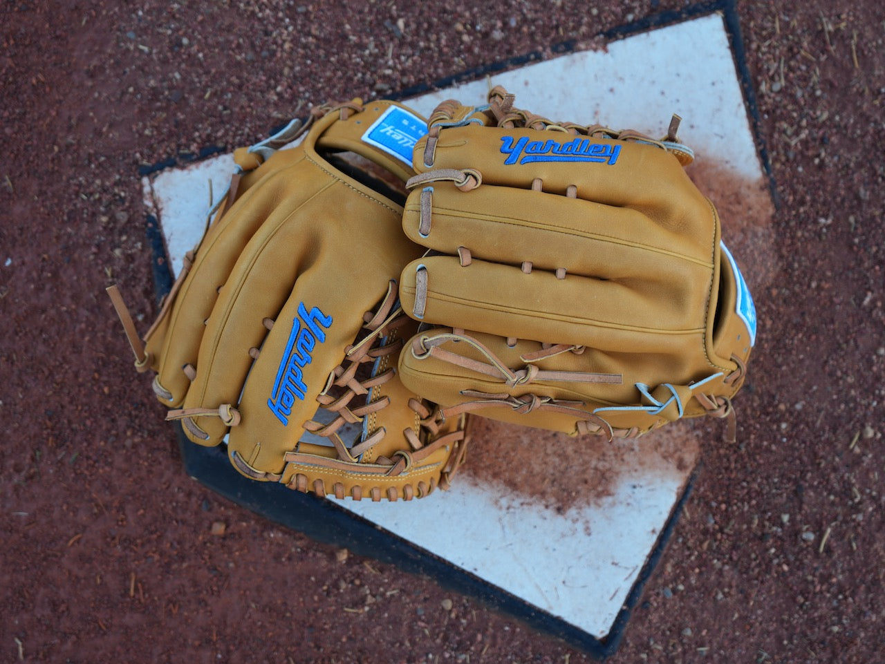 Y2 Maven Steer - 279 Tan and Blue 12.00"