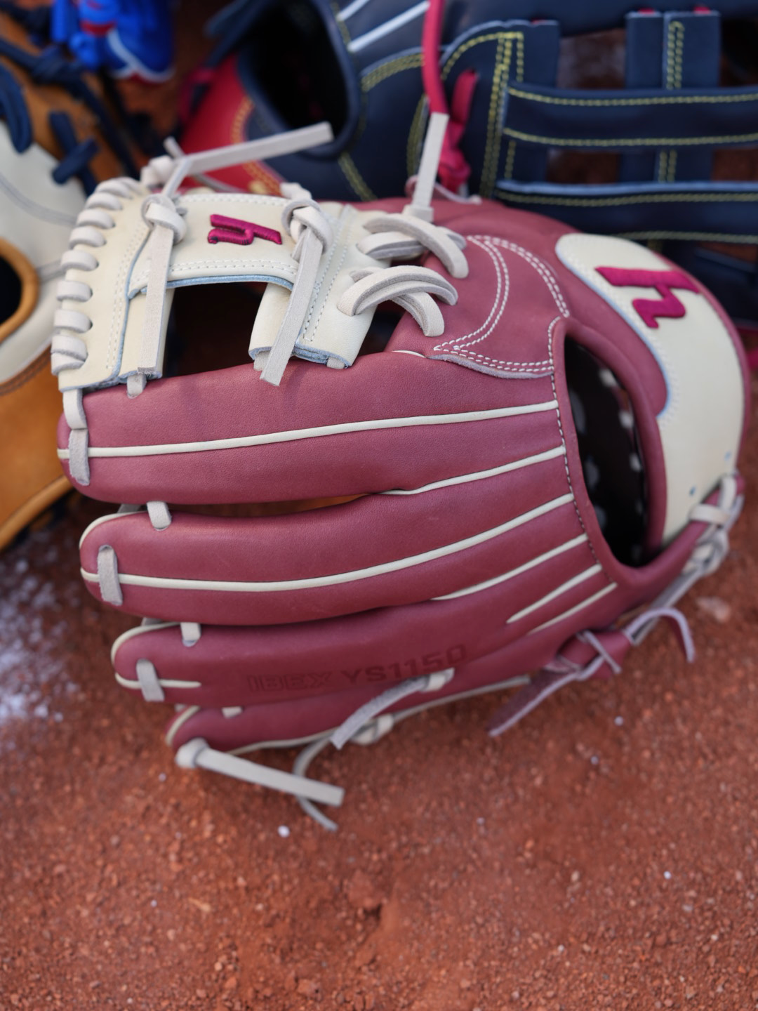 Y1 - Ace Leather - IBEXYS1150 "Reds"