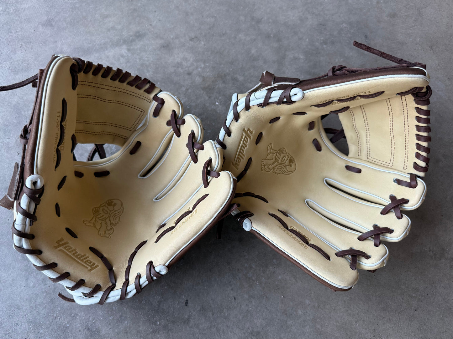 Y2 Maven Steer - 279 Bone, Brown and White 11.50”