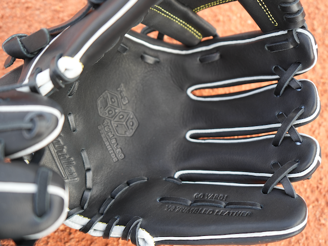 Y3-Tumbled Leather - 279 Black and Gold I-Web 11.50"