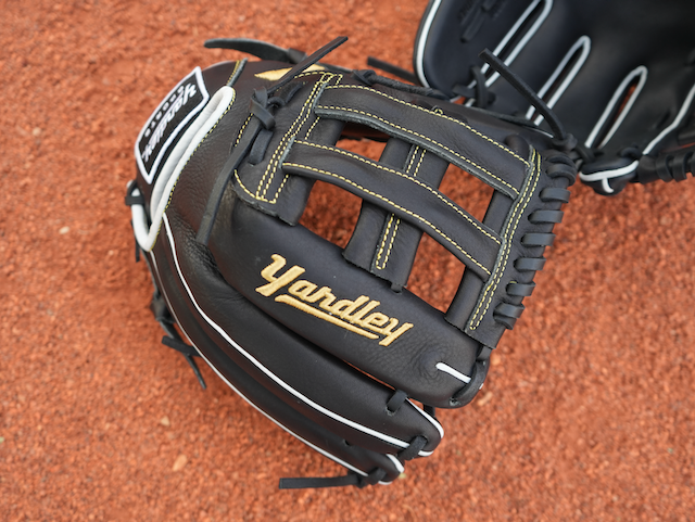 Y3-Tumbled Leather - 279 Black and Gold H-Web 12.00"