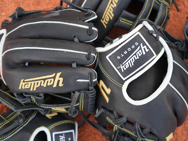 Y3-Tumbled Leather - 279 Black and Gold H-Web 12.00"