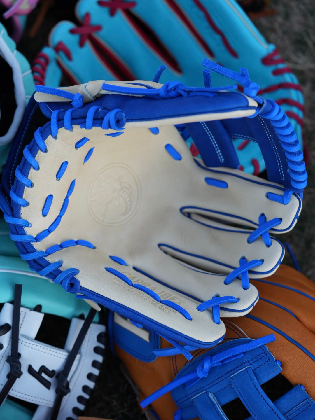 Y2 - Maven Steer - IBEXYS1150 "Rivals"