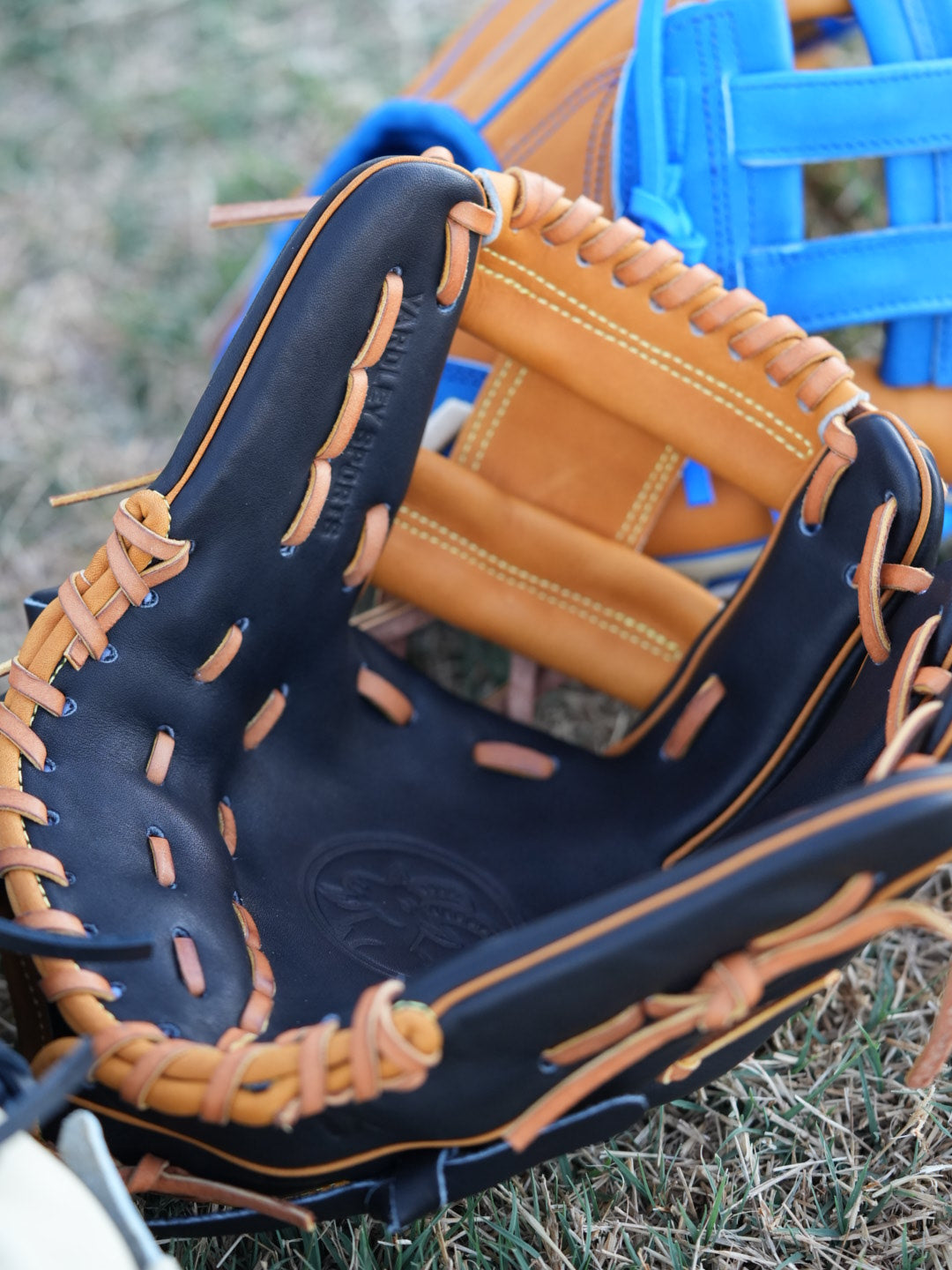 Y1 - Ace Leather - IBEXYS1150 "Cingino"