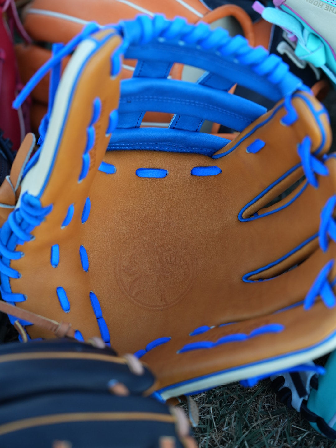 Y1 - Ace Leather - IBEXYS1200 "Dirty Blues"