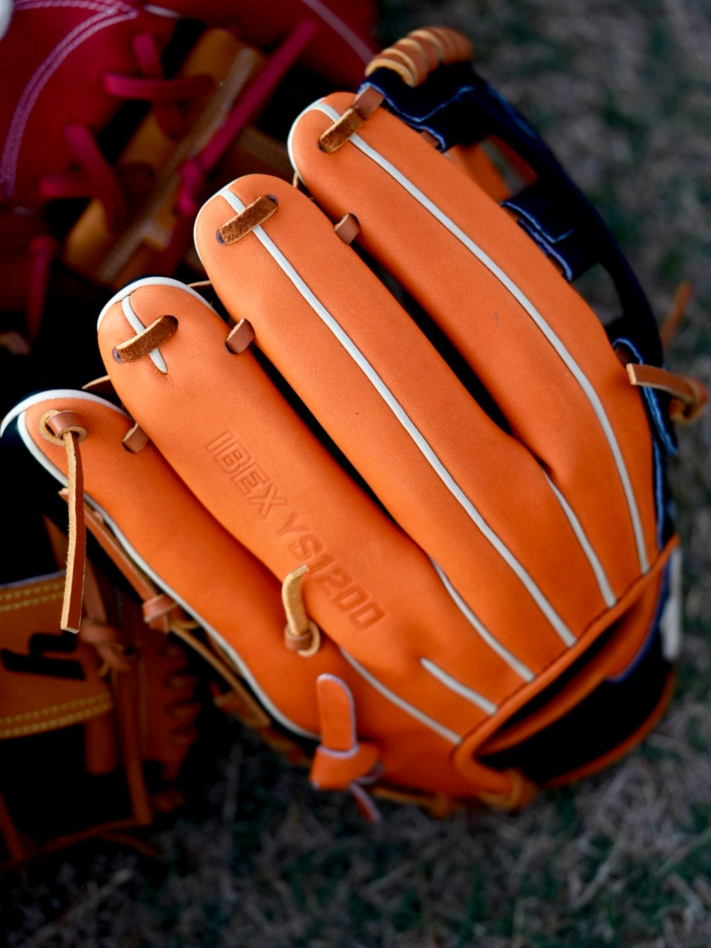 Y1 - Ace Leather - IBEXYS1200 "巨"