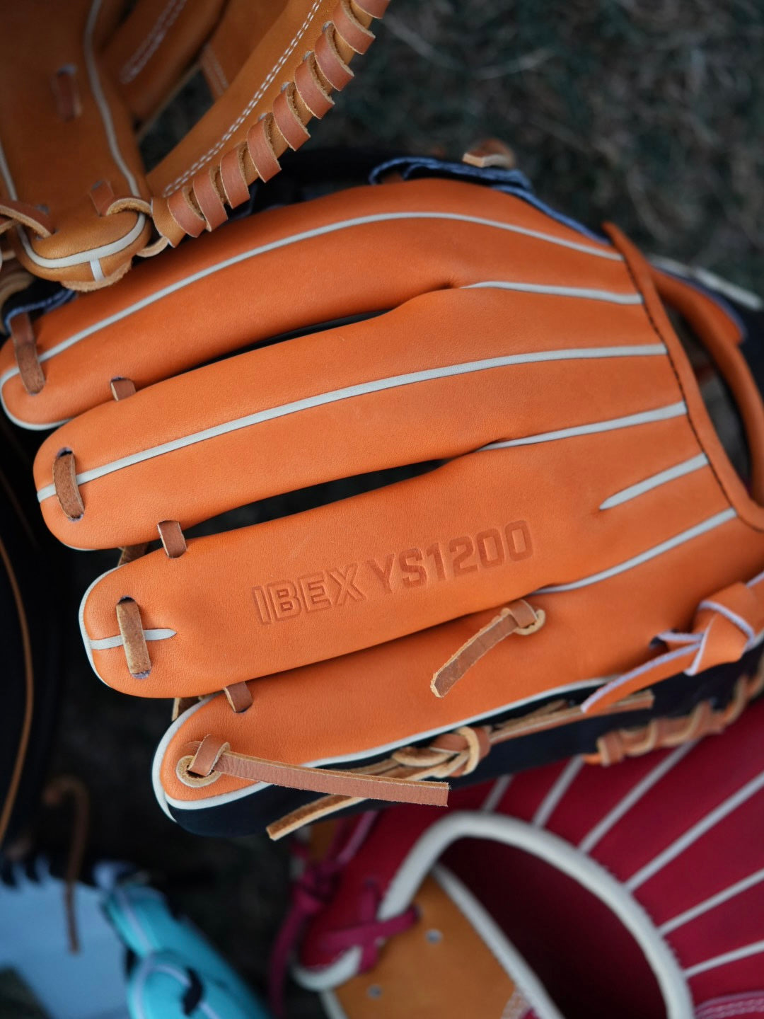 Y1 - Ace Leather - IBEXYS1200 "巨"