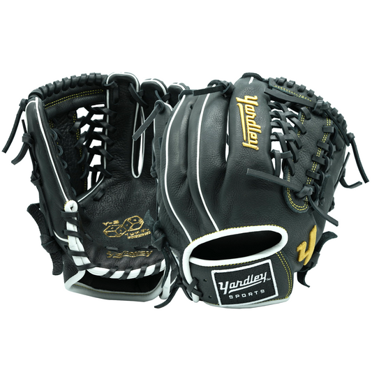 Y3 - 279 Black and Gold 11.75” | 2026 Collection